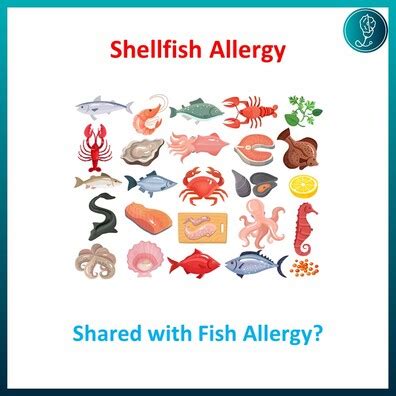 allergic reaction to fish|Fish .